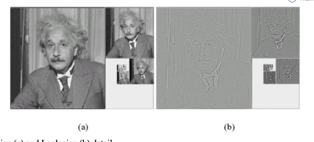 Gaussian (a) and Laplacian(b) detail of an img